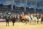 Cavalry - 00296